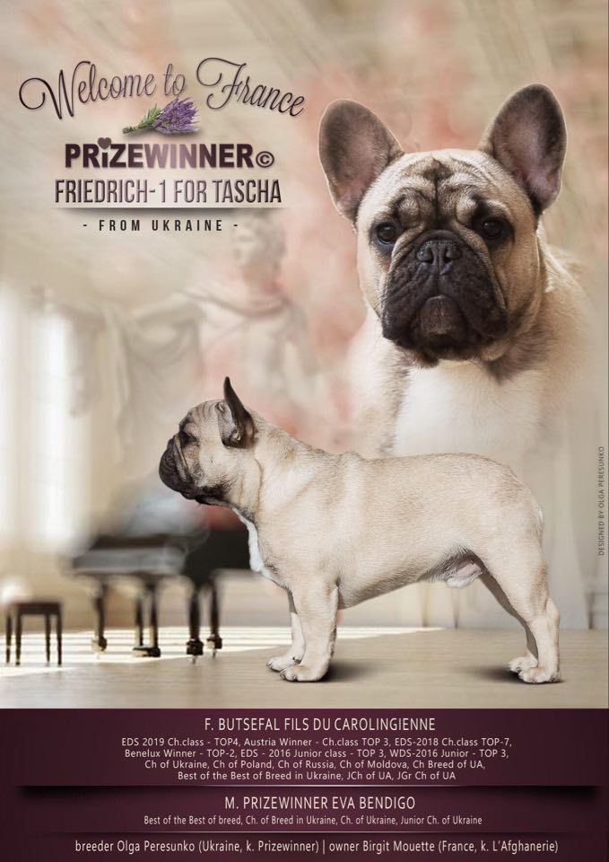 prizewinner Friedrich 1 for tascha