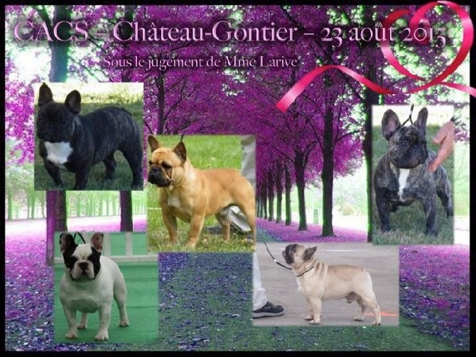 de L'Afghanerie de Kabul - LITTLE Meilleur Jeune  Chateau Gonthier !!!
