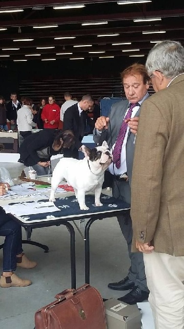 de L'Afghanerie de Kabul - Les Garçons à Compiegne !!!!!!